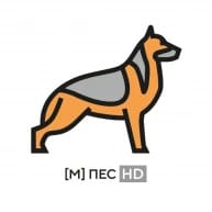 пес