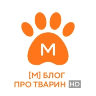 ввп