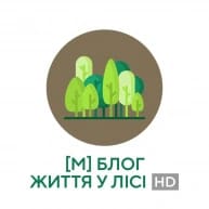 блог життя у лісі